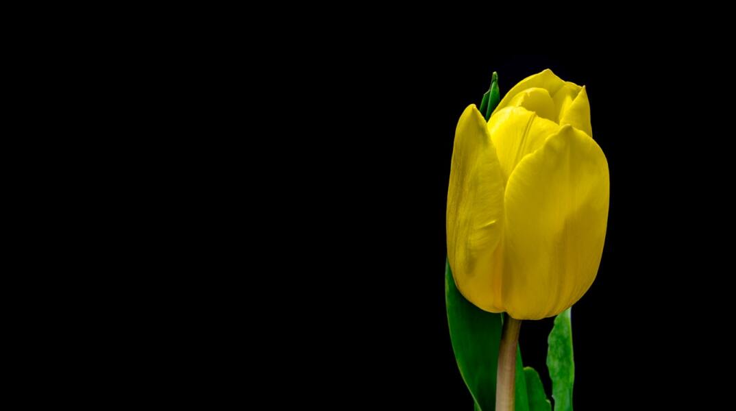 Ποιοι γιορτάζουν σήμερα; Το εορτολόγιο της Athens Voice