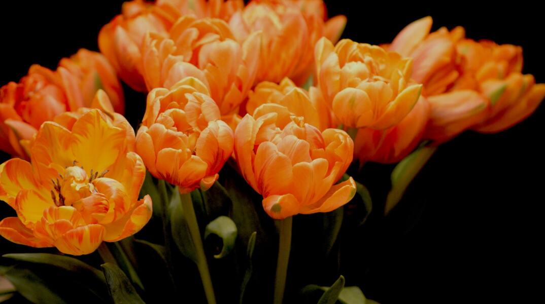 Ποιοι γιορτάζουν σήμερα 21 Μαρτίου; Το εορτολόγιο της Athens Voice σου τους θυμίζει. Μην ξεχάσεις να τους δώσεις τις καλύτερες ευχές σου!