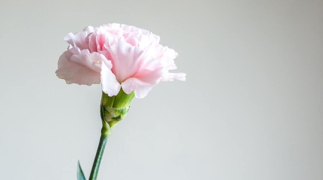 Ποιοι γιορτάζουν σήμερα 15 Μαρτίου; Το εορτολόγιο της Athens Voice