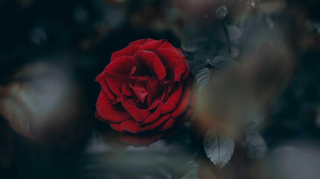 Ποιοι γιορτάζουν σήμερα 23 Μαρτίου; Το εορτολόγιο της Athens Voice