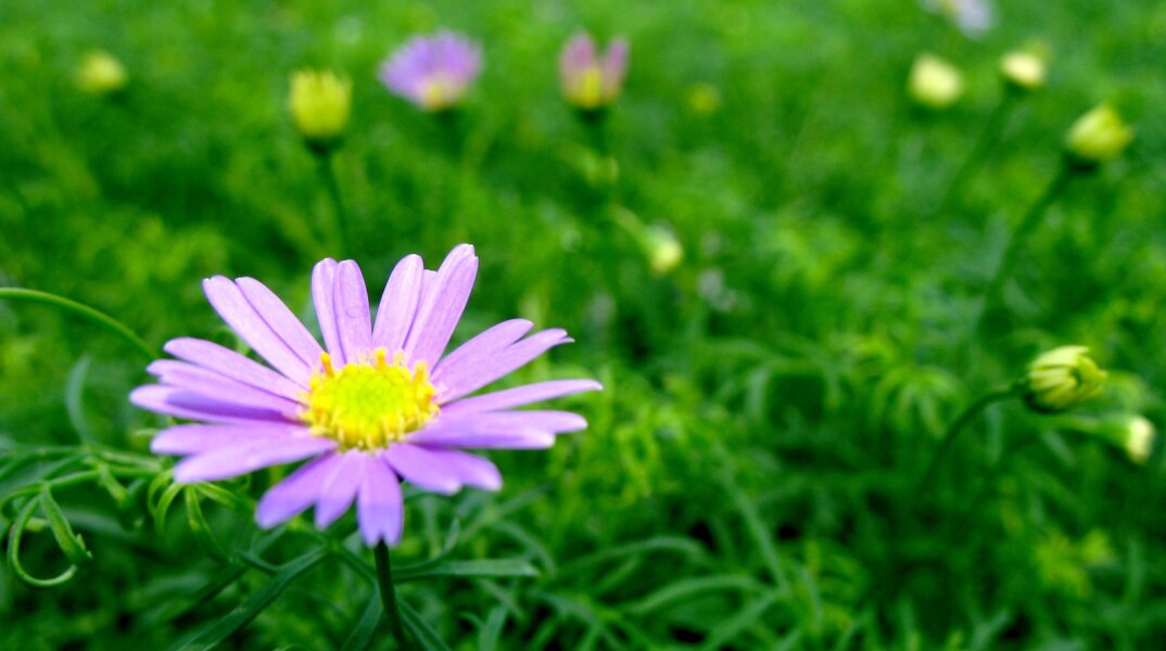 Ποιοι γιορτάζουν σήμερα 26 Μαρτίου; Το εορτολόγιο της Athens Voice σου τους θυμίζει. Μην ξεχάσεις να τους δώσεις τις καλύτερες ευχές σου!