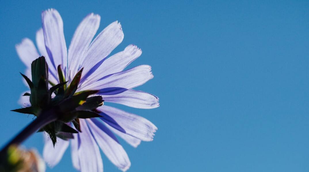 Ποιοι γιορτάζουν σήμερα 31 Μαρτίου; Το εορτολόγιο της Athens Voice σου τους θυμίζει. Μην ξεχάσεις να τους δώσεις τις καλύτερες ευχές σου!