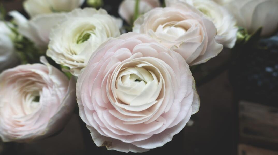 Ποιοι γιορτάζουν σήμερα 30 Μαρτίου; Το εορτολόγιο της Athens Voice σου τους θυμίζει. Μην ξεχάσεις να τους δώσεις τις καλύτερες ευχές σου!