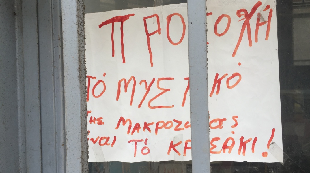 3._iko_tis_makrozoias.jpg