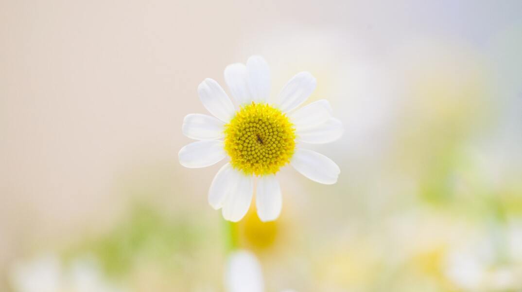 Ποιοι γιορτάζουν σήμερα 9 Απριλίου;