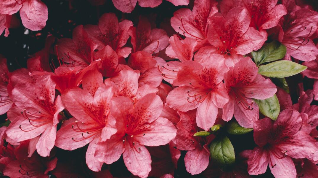 Ποιοι γιορτάζουν σήμερα 12 Απριλίου; 