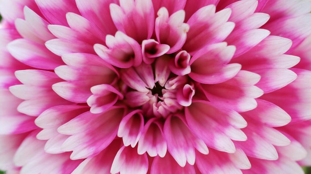 Ποιοι γιορτάζουν σήμερα 11 Απριλίου; 