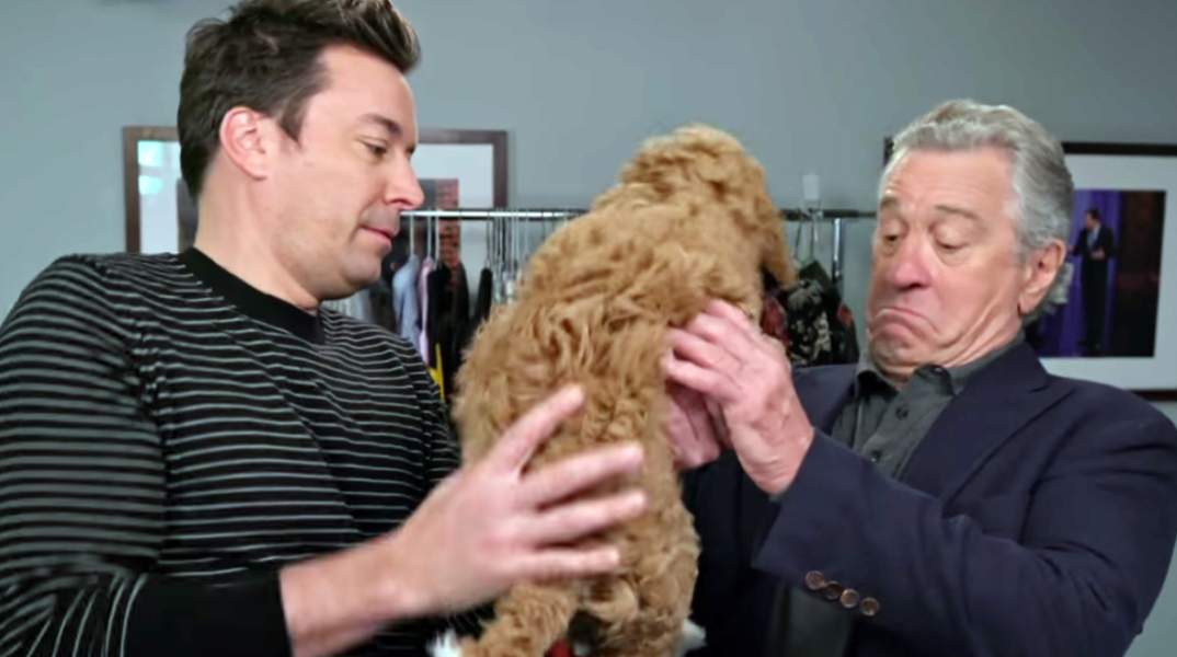 177_robert_de_niro_has_never_seen_a_dog_youtube_copy.jpg