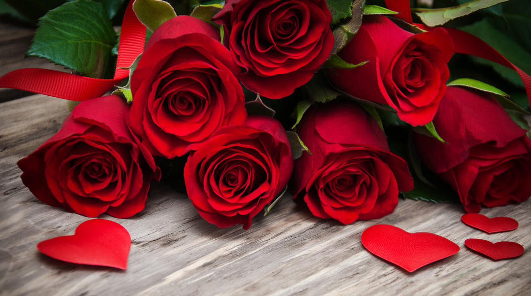 red-roses-4114x2631-petals-hd-4k-6007.jpg