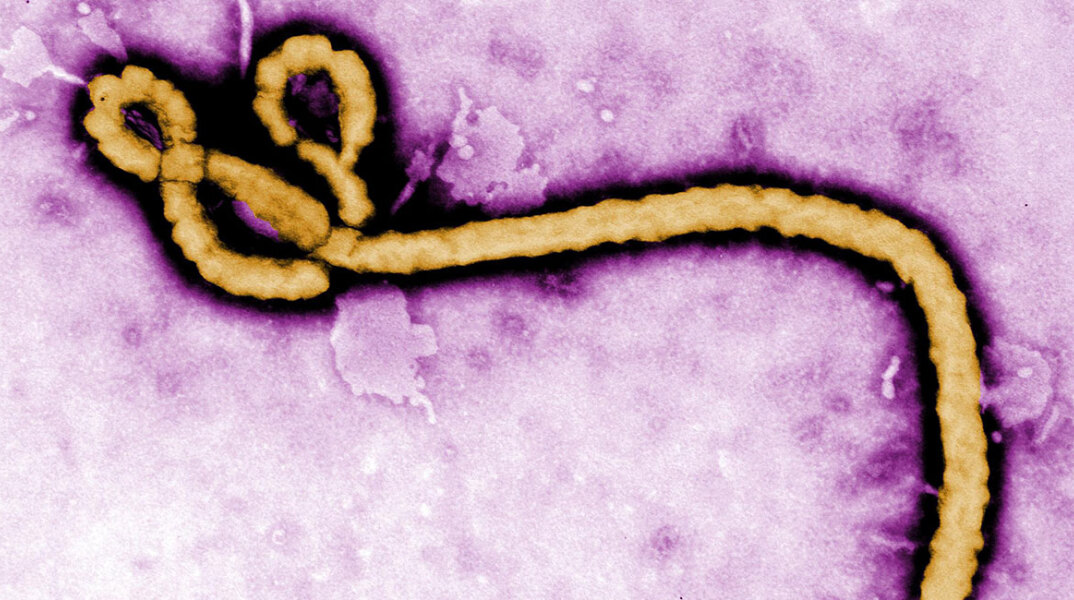 ebola.jpg