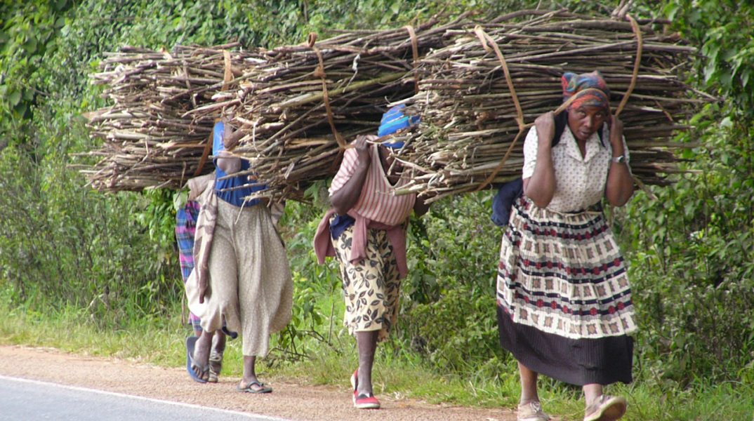 four-women-carrying-firewood.jpg