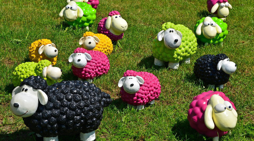 sheep-1437618_1920.jpg