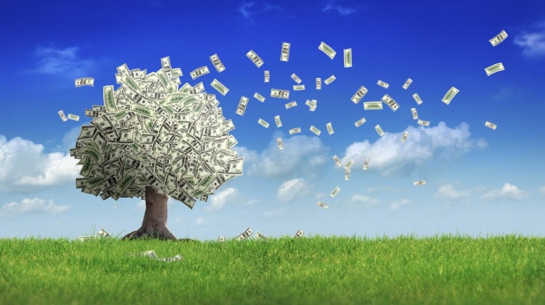 p28_moneytree-1200x640.jpg