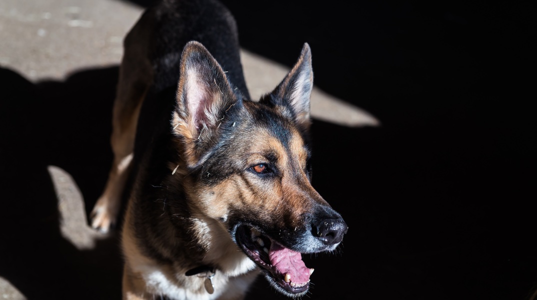 jez-timms-672196-unsplash.jpg
