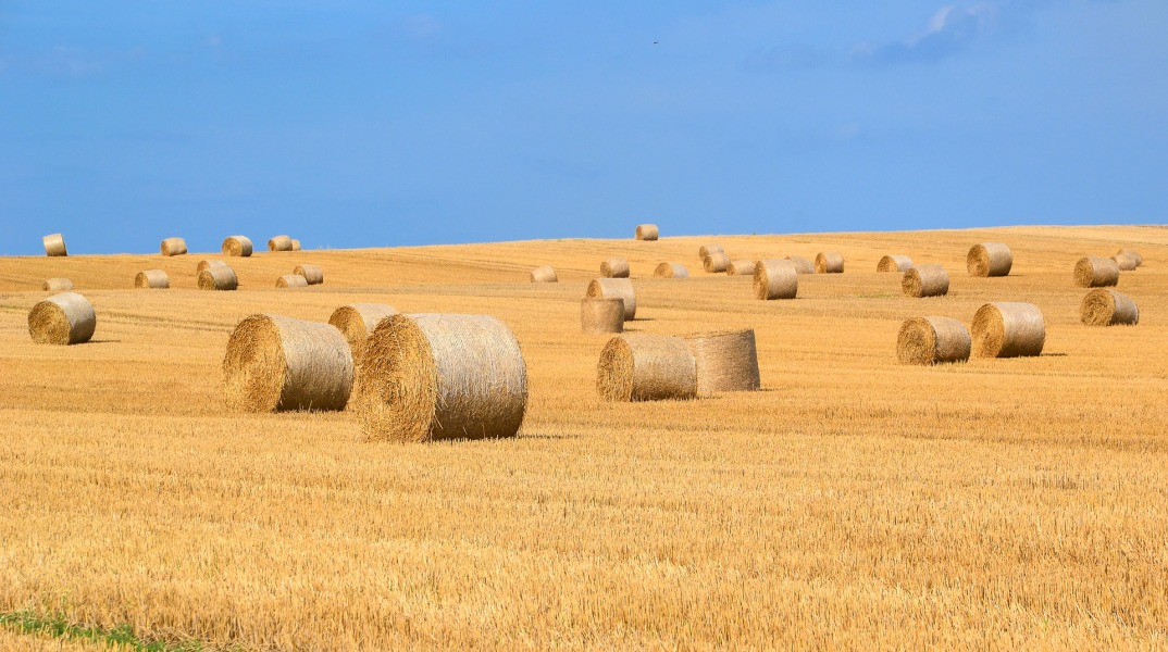 hay-bales-1930612_1920.jpg