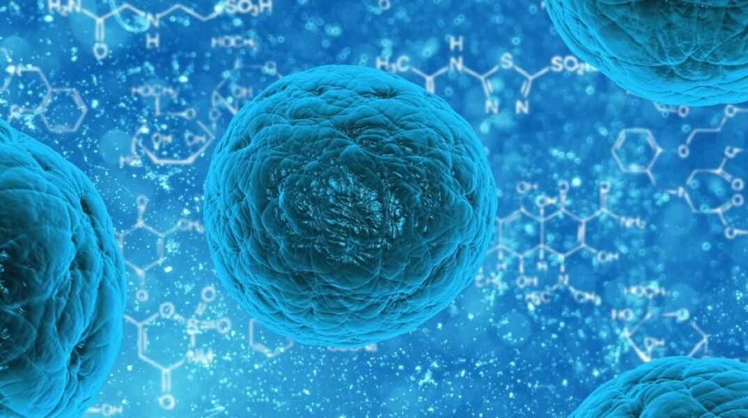 stem-cell-163711_1280.jpg
