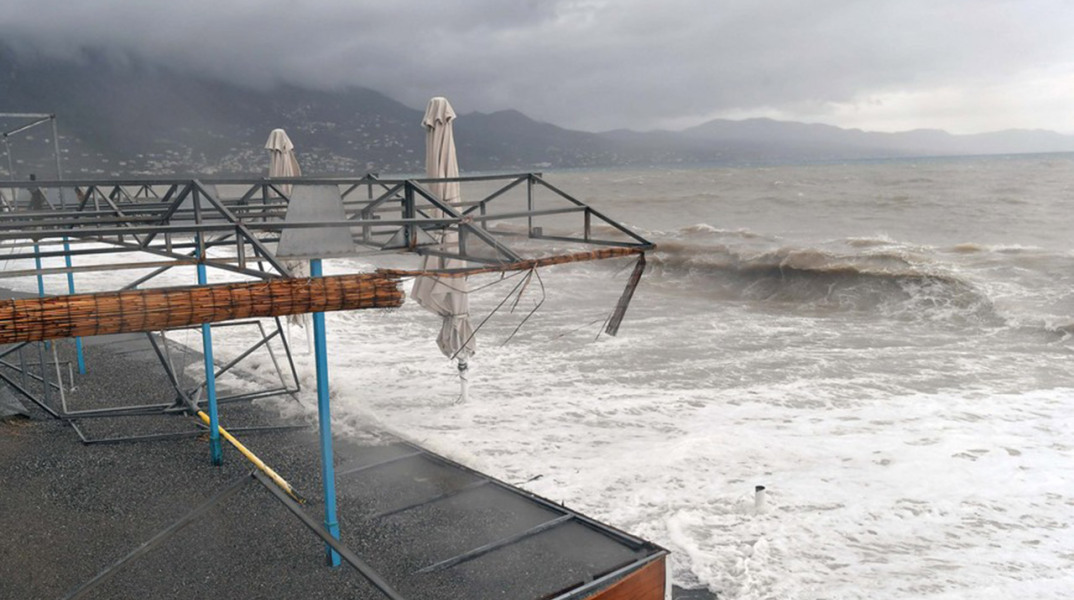 kalamata1.jpg