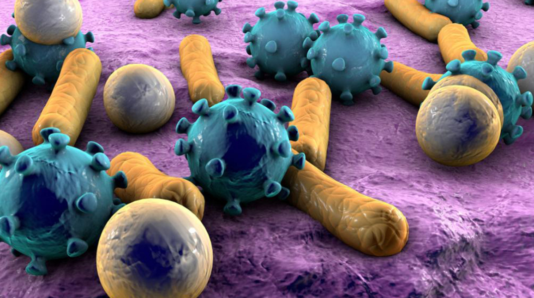 bacteria-and-viruses.jpg