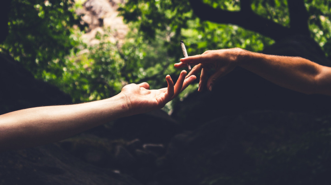 cannabis athens voice