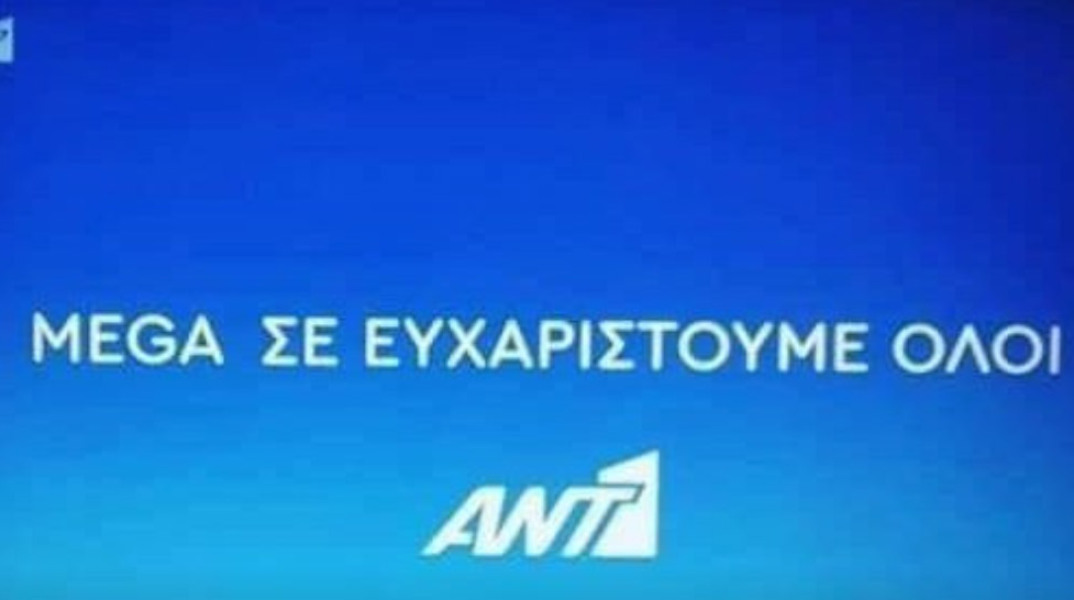 ant1.jpg