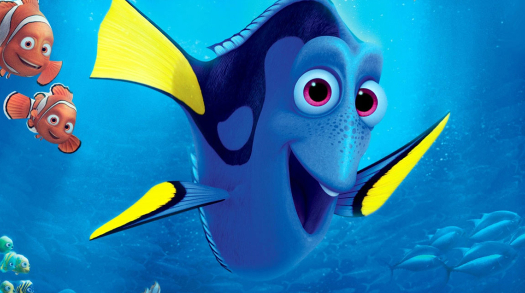 dory-new.jpg