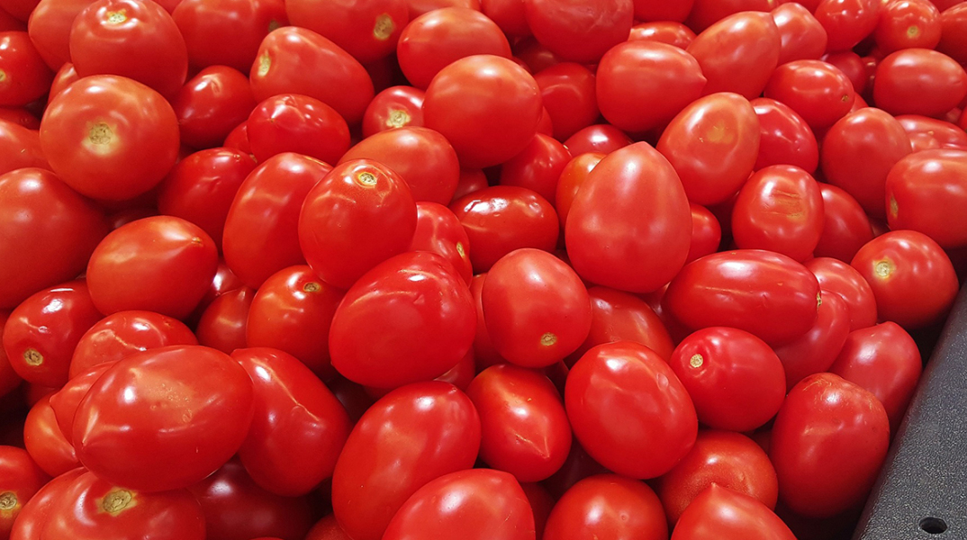 tomatoes-1310603_1920.jpg