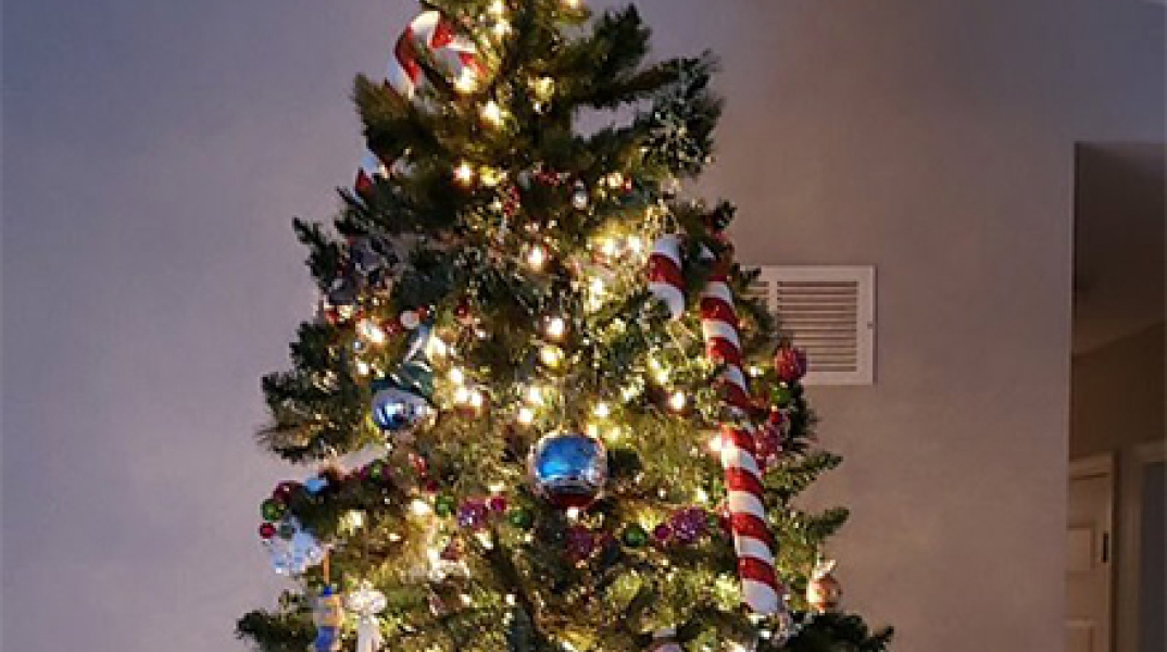 ΧΡΙΣΤΟΥΓΕΝΝΙΑΤΙΚΟ ΔΕΝΤΡΟ 