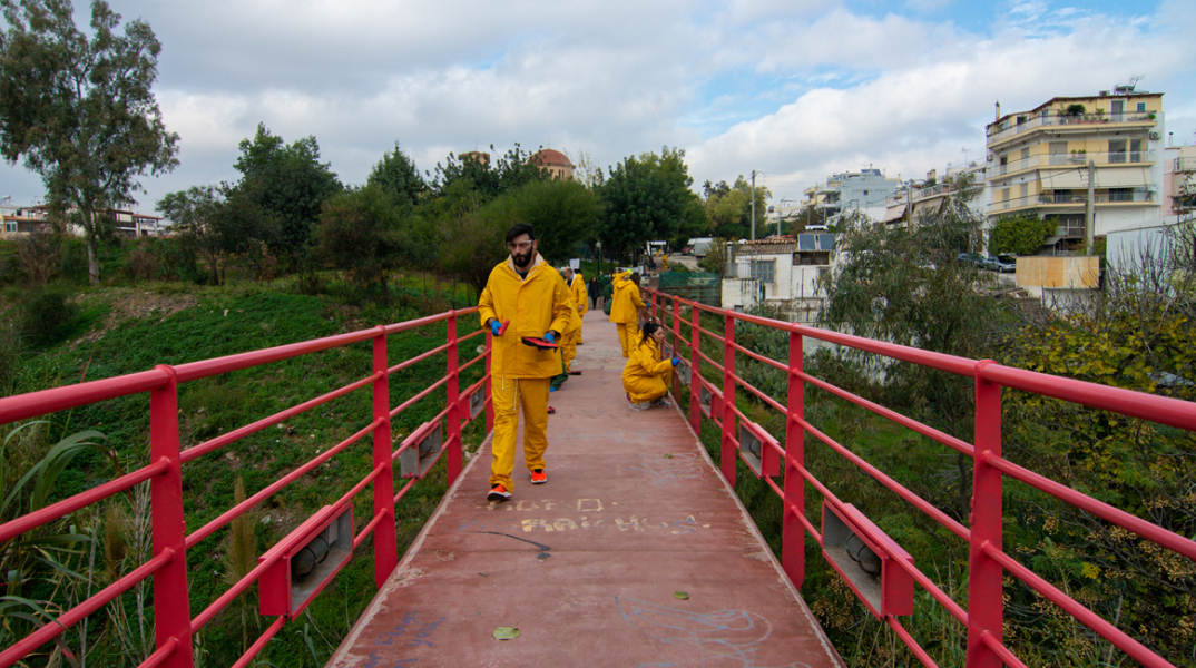 Το ρέμα της Πικροδάφνης, που έχει ιδιαίτερα και μοναδικά χαρακτηριστικά οργανισμών, φυτών και τοπίων, χαρακτηρίζεται ως ρέμα σημαντικού περιβαλλοντικού ενδιαφέροντος και φυσικής ομορφιάς.
