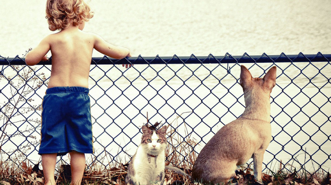 ΚΑΤΟΙΚΙΔΙΑ ΣΤΟ ΣΠΙΤΙ 