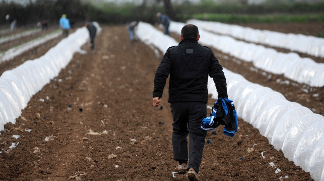 Αγροτικές εκτάσεις