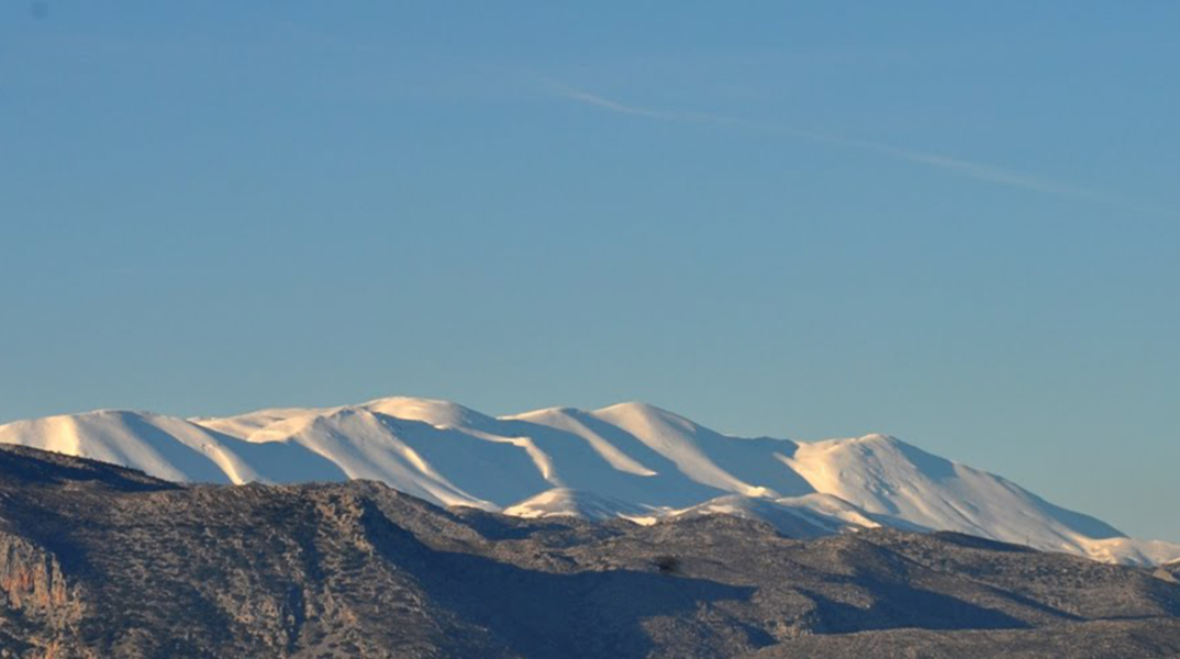 Ψηλορείτης