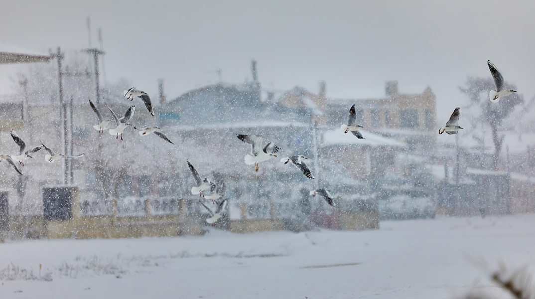 Επανομή Θεσσαλονίκης