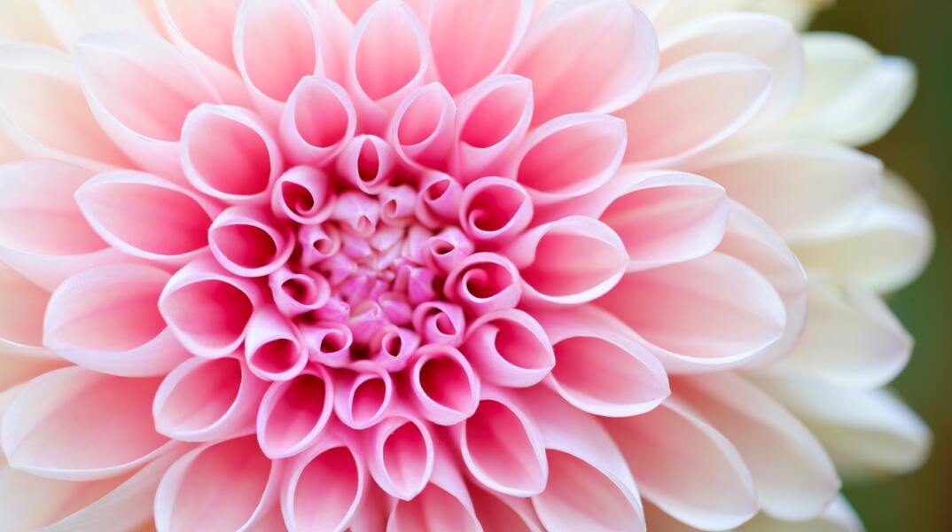 εορτολόγιο