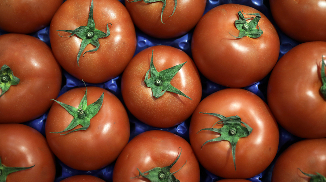 Ντομάτες