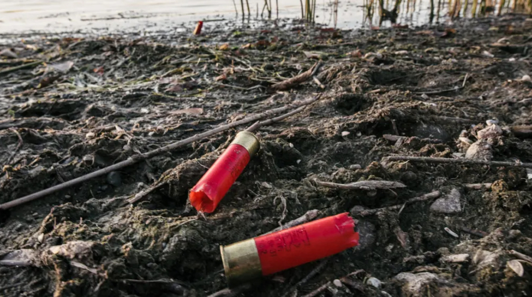 Έριξε δίχτυα και έβγαλε... δίκανο