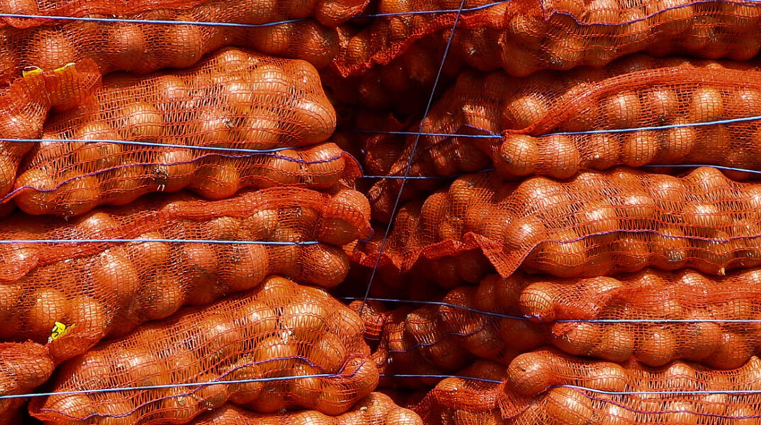 Πορτοκάλια