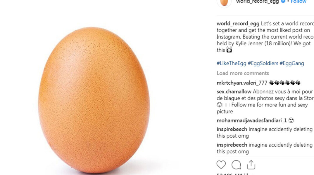 egg