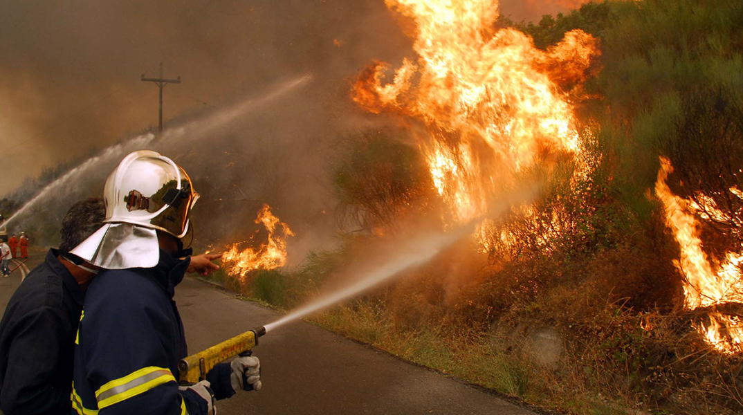 Ηλεία, Πυρκαγιά