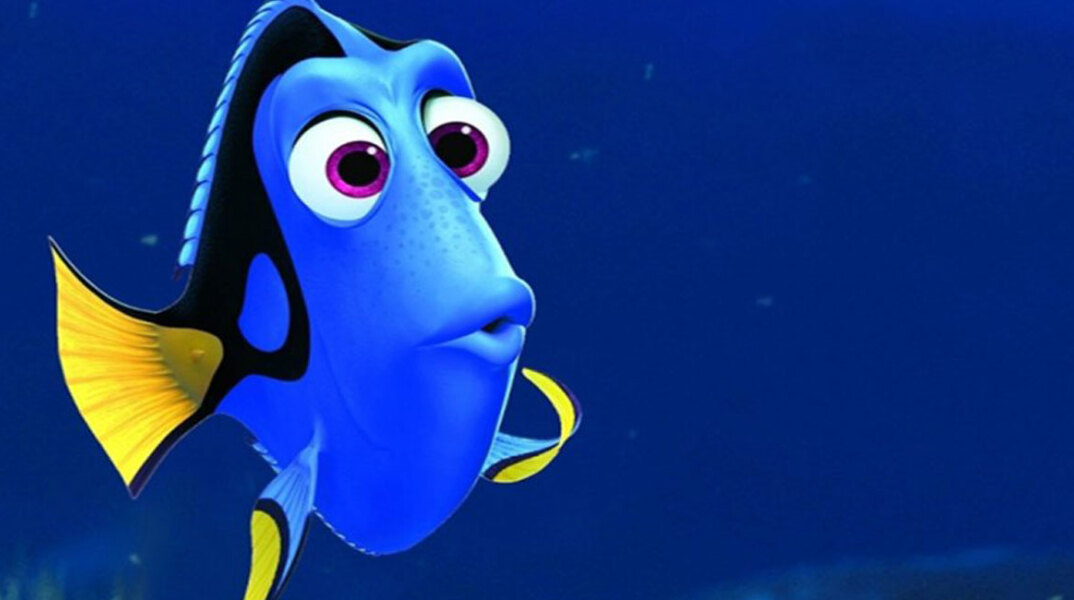 dory