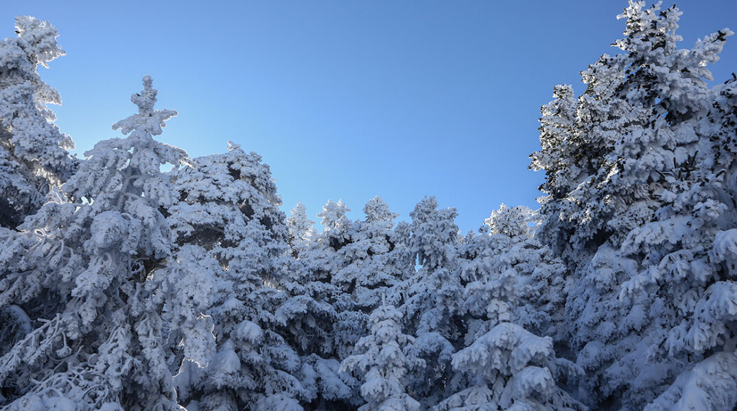 Στα λευκά η Πάρνηθα