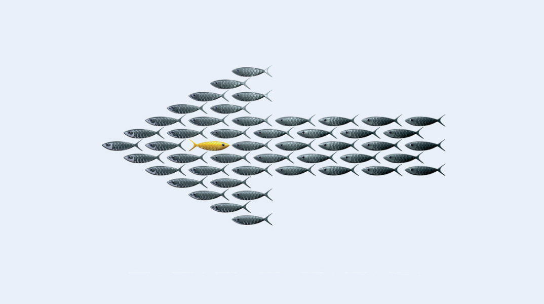 Σταμάτης Κραουνάκης