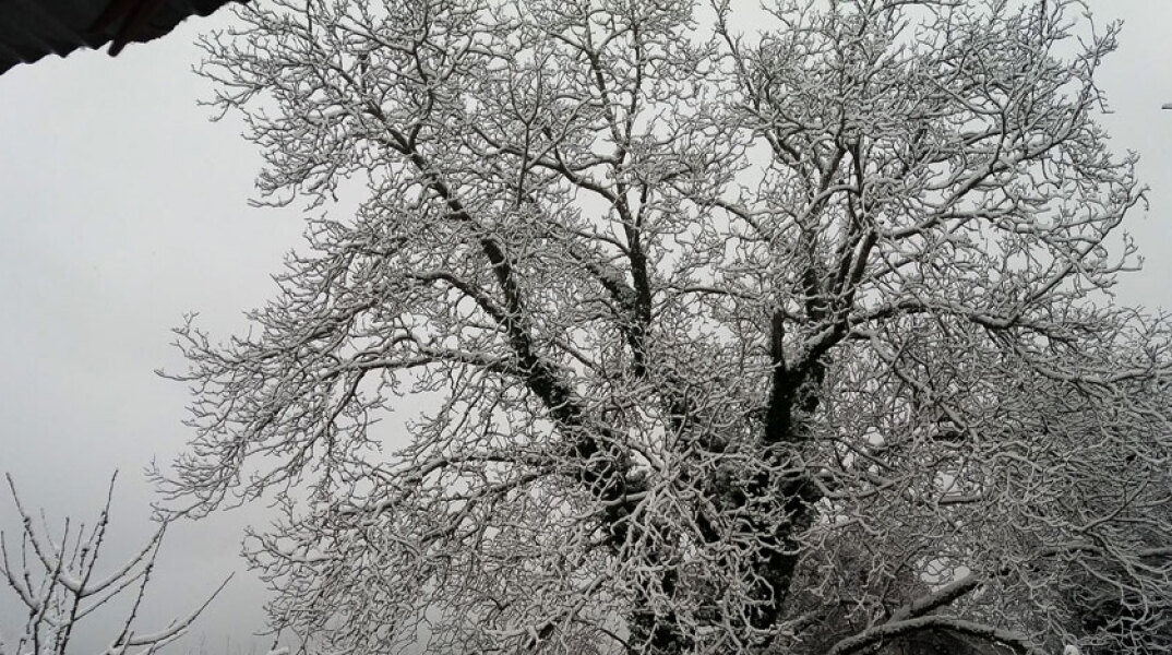 Κακοκαιρία