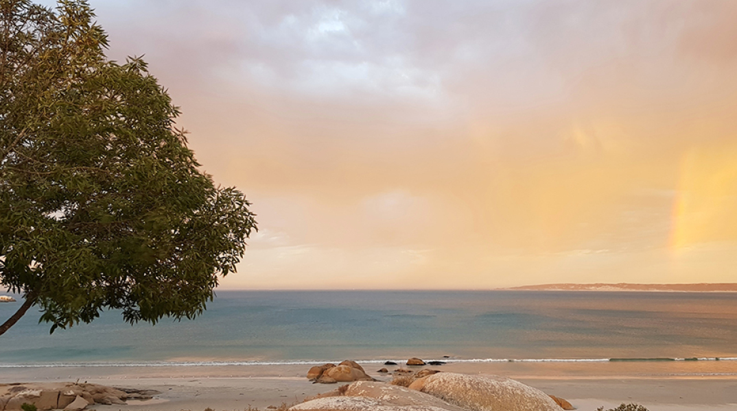 Wolfgat, το εστιατόριο της χρονιάς