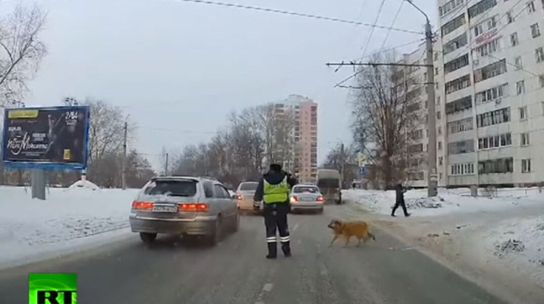 Ρωσία: Αστυνομικός κόβει την κίνηση για να περάσει ο σκύλος