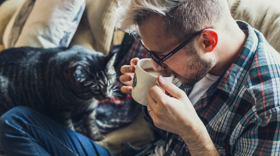 coffee-cat.jpg