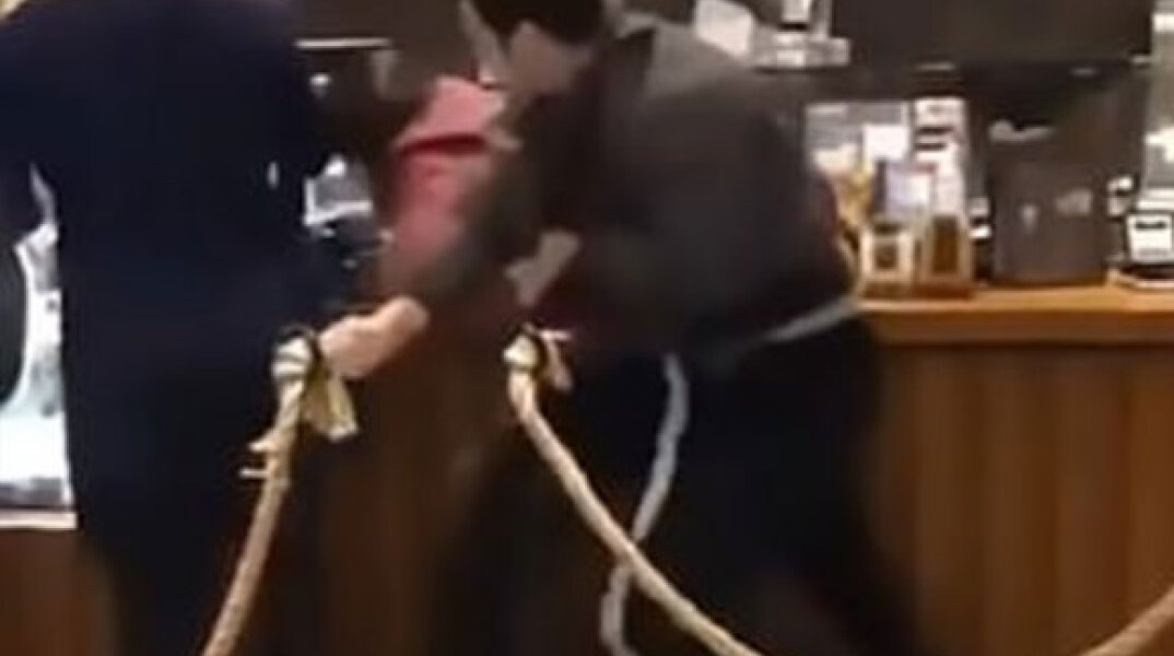 Άγριο ξύλο για μια κούπα καφέ