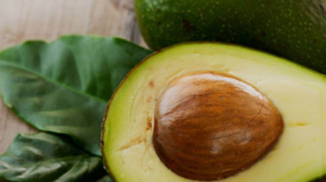Αβοκάντο