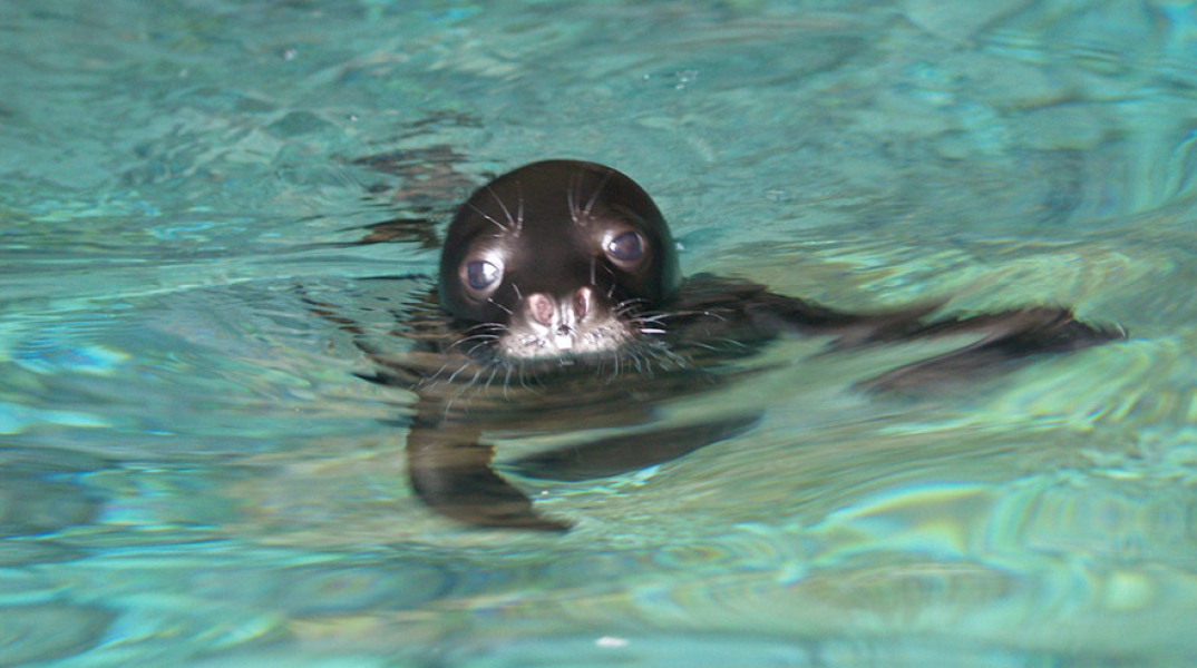 Πάρκο Αλοννήσου