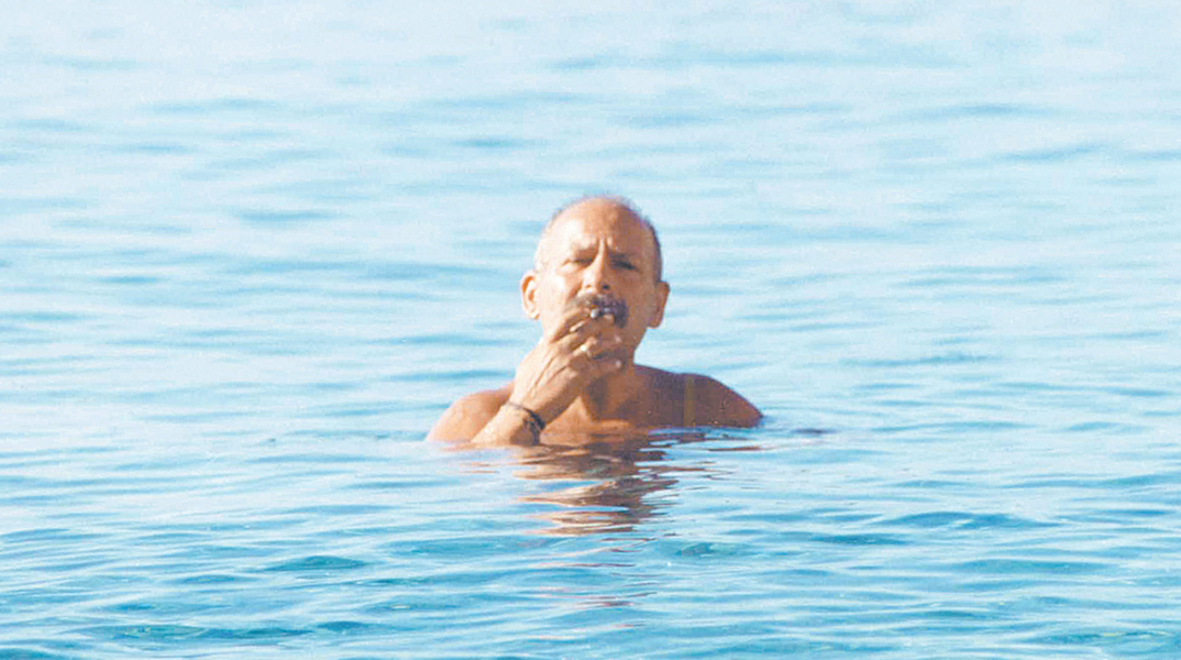 αδέσποτα σκυλιά