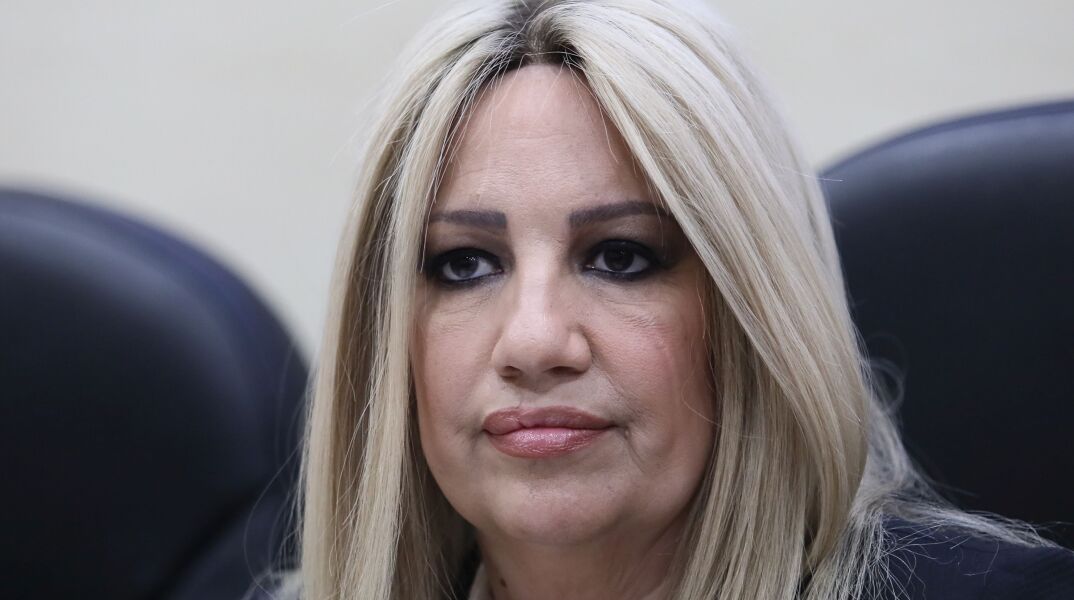Φώφη Γεννηματά: Επικίνδυνη η κυβέρνηση στα εθνικά θέματα 
